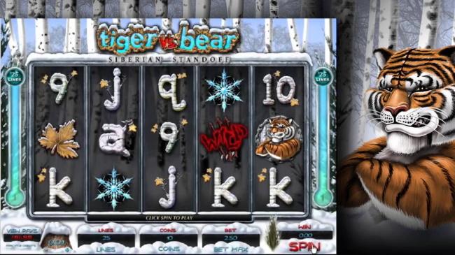 How to play Tiger vs Bear slot game