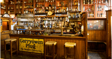 Irish Pubs and Beers