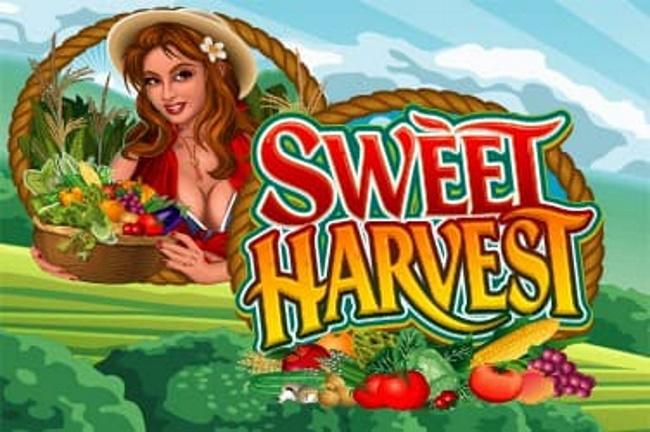 Sweet Harvest Slot Game