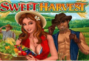 Sweet harvest
