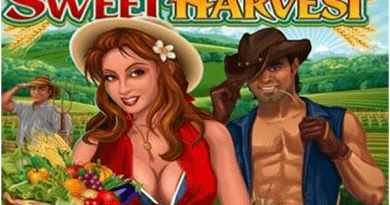 Sweet harvest