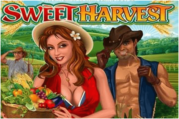 Sweet harvest