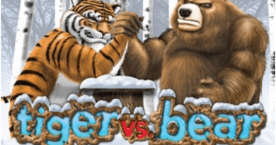 Tiger Vs Bear
