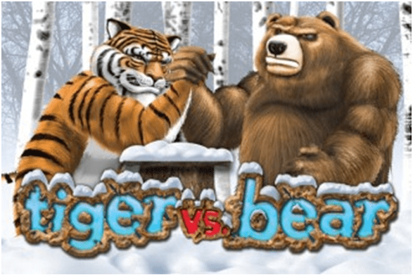 Tiger Vs Bear