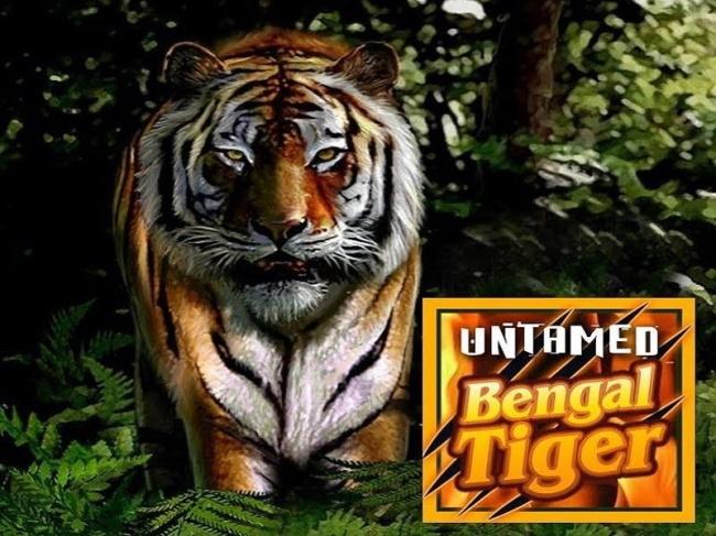 Untamed Bengal Tiger Slot Game