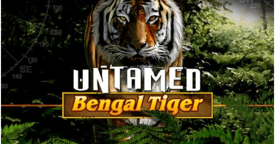 Untamed Bengal Tiger