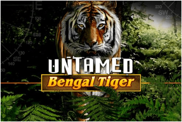 Untamed Bengal Tiger